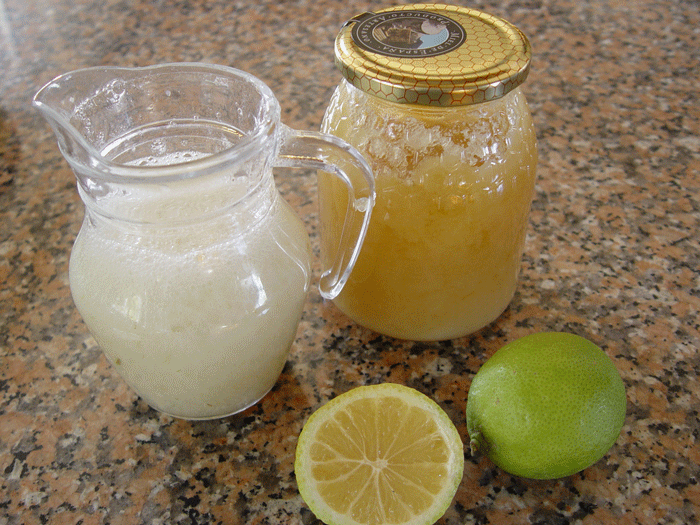 Batido de áloe con limón y miel